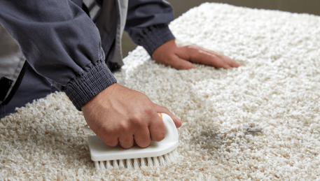 Professional Rug Cleaning Avondale Heights